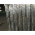 PVC coated 6*6 welded wire mesh for sale